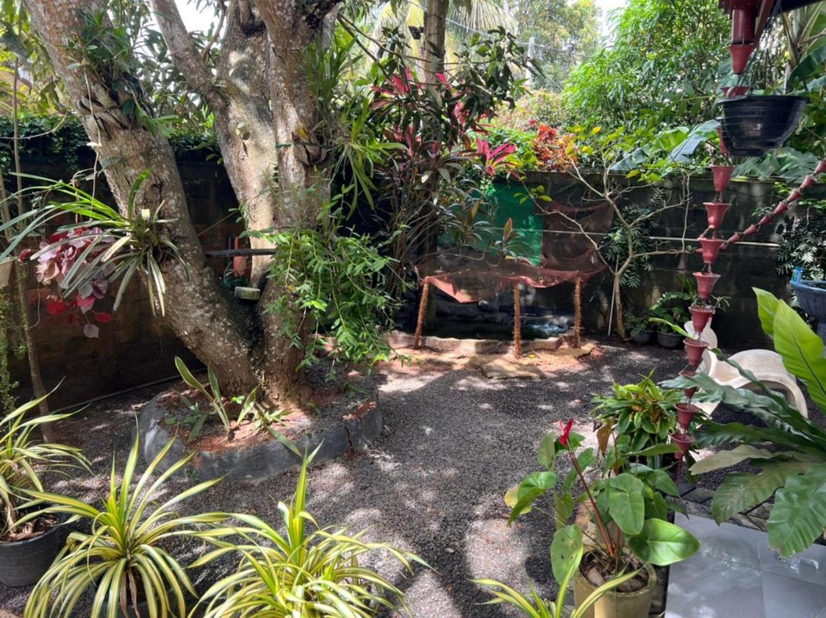 Hotel Jungle Reef Rest Mirissa Exterior foto